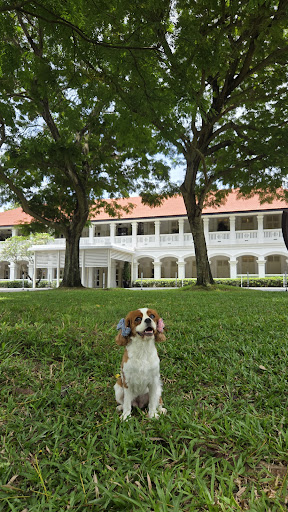 Review photo 6 of 6