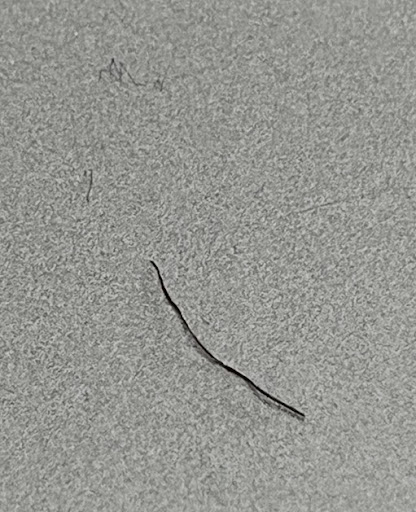 Review photo 1 of 1